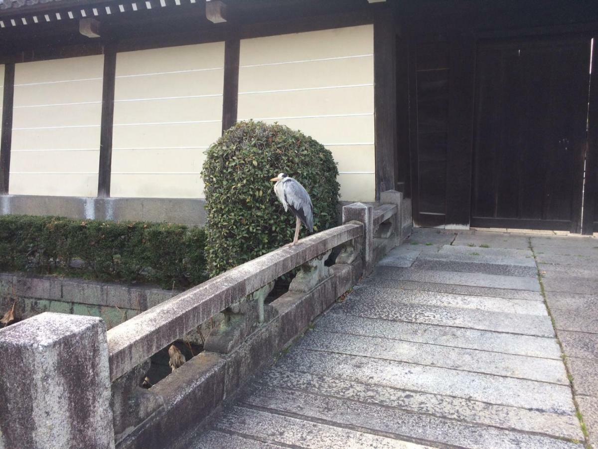 Gojyo Ivy Leilighet Kyoto Eksteriør bilde